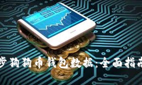 如何高效同步狗狗币钱包数据：全面指南与实用技巧