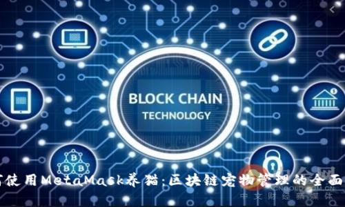如何使用MetaMask养猫：区块链宠物管理的全面指南