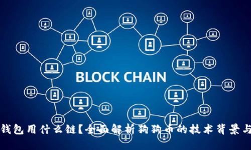 狗狗币提钱包用什么链？全面解析狗狗币的技术背景与钱包选择