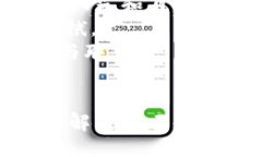 及关键词：  黑曜石狐狸放