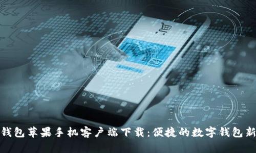 小狐钱包苹果手机客户端下载：便捷的数字钱包新选择