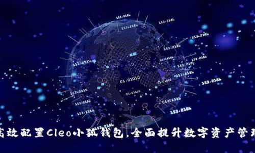 如何高效配置Cleo小狐钱包，全面提升数字资产管理体验