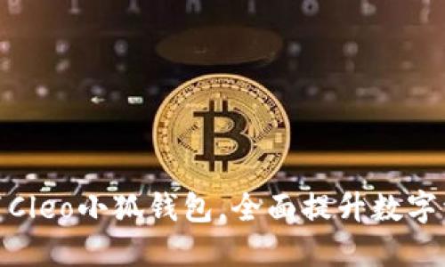 如何高效配置Cleo小狐钱包，全面提升数字资产管理体验