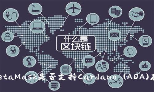 : MetaMask是否支持Cardano (ADA)存储？