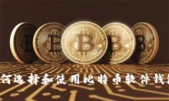 如何选择和使用比特币软