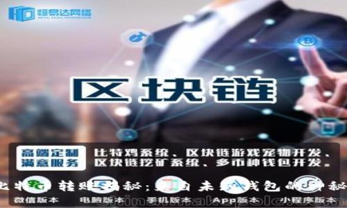 2616枚比特币转账揭秘：来自未知钱包的神秘交易分析