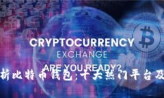 全面解析比特币钱包：十