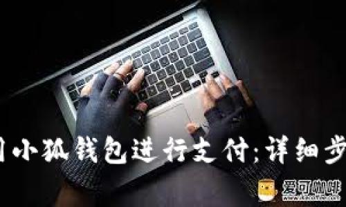 题目：如何使用小狐钱包进行支付：详细步骤与注意事项