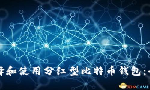 如何选择和使用分红型比特币钱包：全面指南