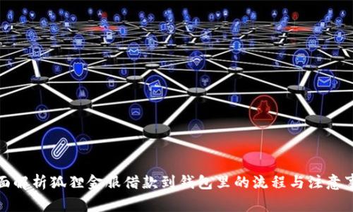 全面解析狐狸金服借款到钱包里的流程与注意事项