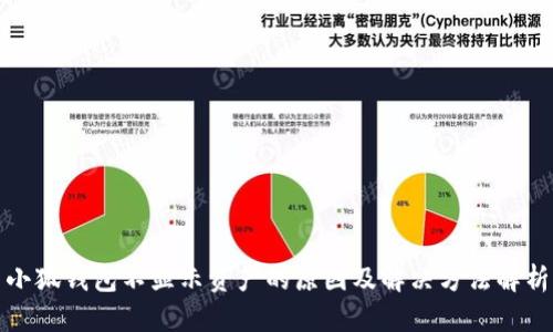 小狐钱包不显示资产的原因及解决方法解析