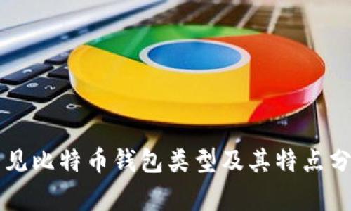 常见比特币钱包类型及其特点分析