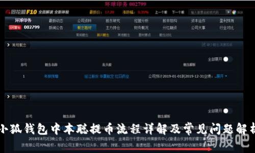 小狐钱包中本聪提币流程详解及常见问题解析