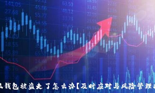   
小狐钱包被盗走了怎么办？及时应对与风险管理指南