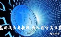 比特币全节点钱包的成长