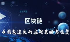 比特币钱包遗失的应对策略与恢复指南