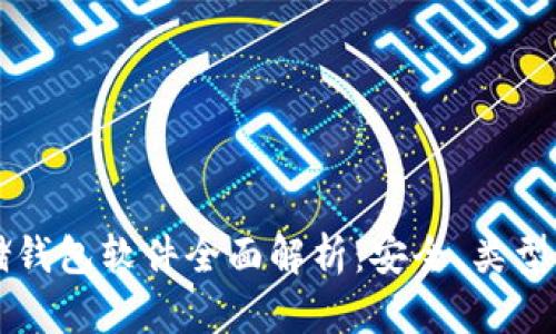 比特币存储钱包软件全面解析：安全、类型与选择指南