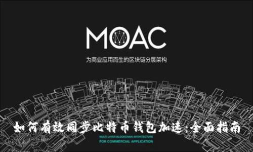 如何有效同步比特币钱包加速：全面指南