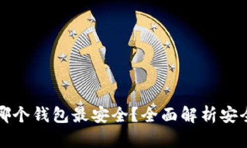 屎币存入哪个钱包最安全？全面解析安全存储选项