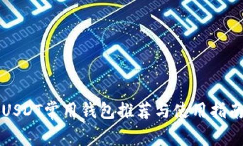 USDT常用钱包推荐与使用指南
