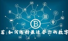 比特币钱包推荐：如何选择最适合你的数字资产