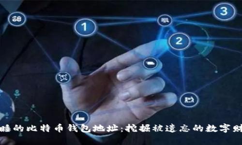 沉睡的比特币钱包地址：挖掘被遗忘的数字财富