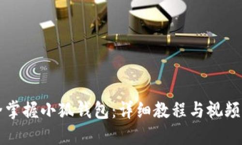 完全掌握小狐钱包：详细教程与视频指南