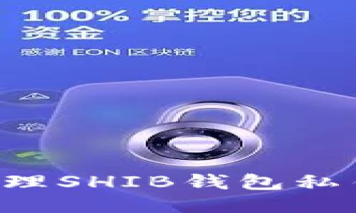 如何安全管理SHIB钱包私钥：全面指南