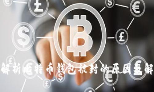 : 全面解析比特币钱包被封的原因及解决方案