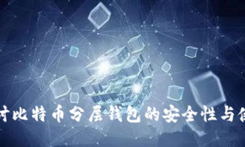 深入探讨比特币分层钱包的安全性与使用价值