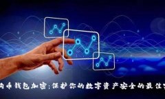 狗狗币钱包加密：保护你的数字资产安全的最佳