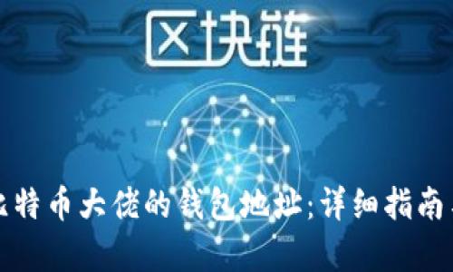 如何查询比特币大佬的钱包地址：详细指南与实践分析