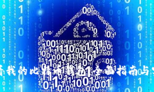 如何查看我的比特币钱包：全面指南与实用技巧