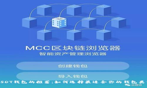 USDT钱包的推荐：如何选择最适合你的钱包类型