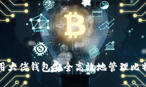 如何利用大佬钱包安全高效地管理比特币资产